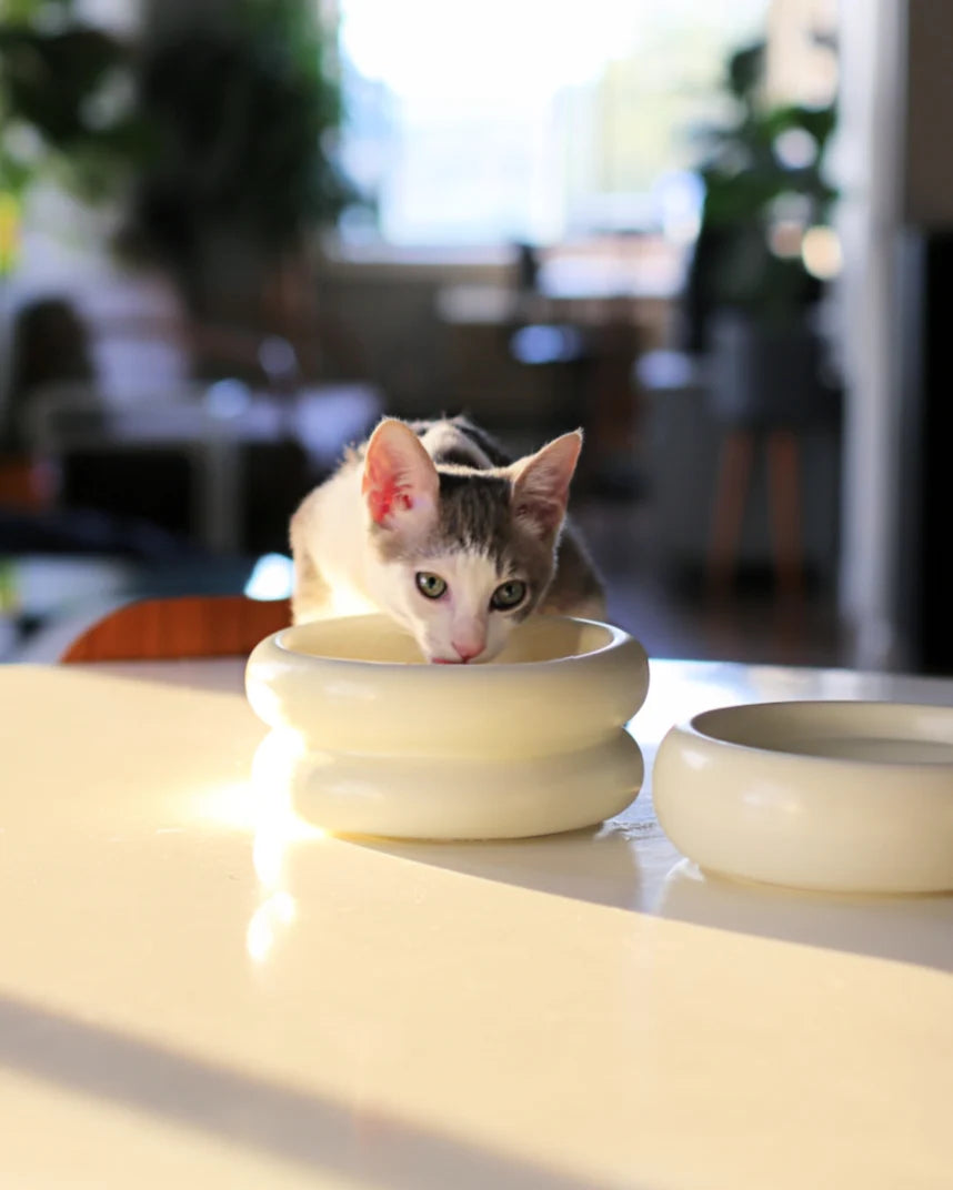 Platos crema de doble altura y normal junto a un gato, vendidos por separado